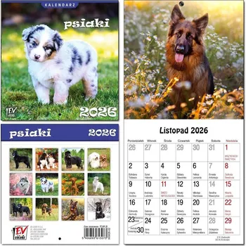 Kalendář Kalendář 2026 pro děti 16x32 13 listů Pejsci