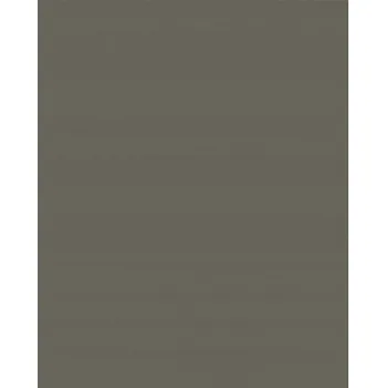 Tapeta ŠEDÁ VINYLOVÁ TAPETA NA VLIESOVÉM PODKLADU OMYVATELNÁ JEDNOBAREVNÁ TAPETA
