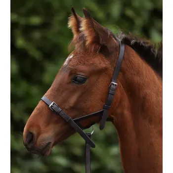 Kožená ohlávka pro hříbě Premier Equine - 1/2" Tmavě hnědá