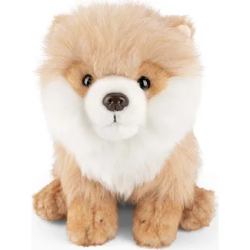 plyšák Plyšák pes Pomeranian 28 cm Living Nature