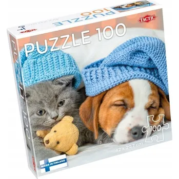 Puzzle Puzzle 100 dílků: Roztomilé kotě a ospalý pes