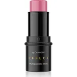 Canneff Effect Multipurpose Stick 7 g