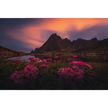 Obraz Filip Hrebenda | On Fire Rám: Bez rámu, Velikost: 20 x 30 cm