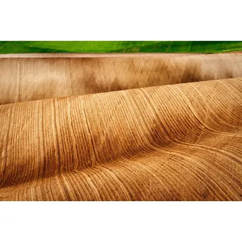 Obraz Vojta Herout | Field Tsunami Rám: Černý, Velikost: 30 x 40 cm