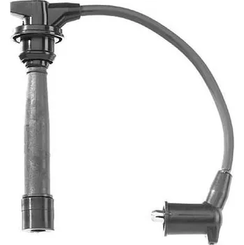 Zapalovací kabel Sada kabelů pro zapalování BorgWarner (BERU) ZEF1136