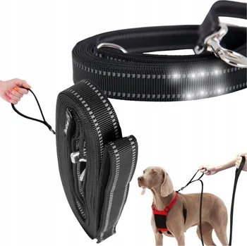 Vodítko pro psa Vodítko treningové vodítko Wobell popruh 5 m