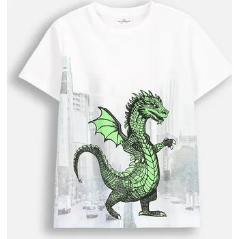 Chlapecké tričko Chlapecké bílé tričko s krátkým rukávem 140 Coccodrillo WC5