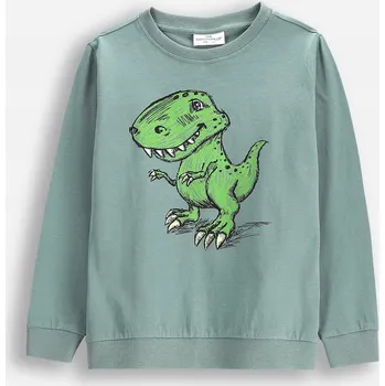Dětská móda Chlapecké zelené tričko s dinosaurem, velikost 122 Coccodrillo WC5