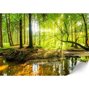 Fototapeta LUMASOUL Vliesová fototapeta Rozměr 300x210 Motiv Příroda