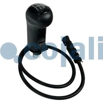 Hlavice řadicí páky Hlavice řadicí páky MAN 81326200055