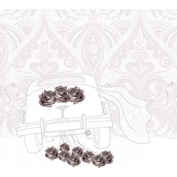 Obraz Karnet Swarovski čtverec CL0115 Svatba auto