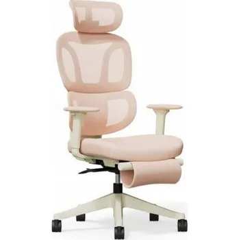 Ergonomická kancelářská židle BS5P-PRO, růžová - B FLEXISPOT