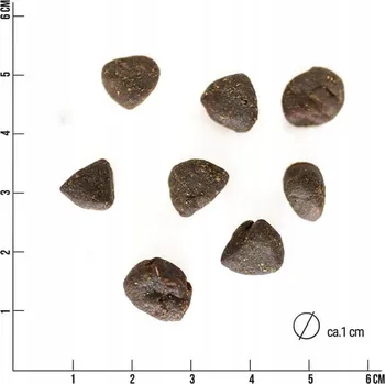 Krmivo pro psa Suché krmivo poloměkké bez obilovin - Jehněčí - pro psy. 4 kg - Tales & Tails