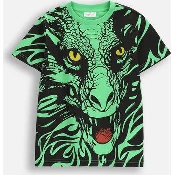 Chlapecké tričko Chlapecké barevné tričko s krátkým rukávem, velikost 164 Coccodrillo WC5