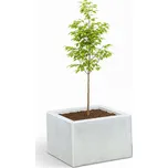 PROFIBA Betonový květináč Medium