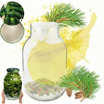 Sklenice Zavařovací Sklenice 3000 ml 3 l na šťávy, okurky, kvašené houby, likéry SADA s VÍČKEM 100 mm