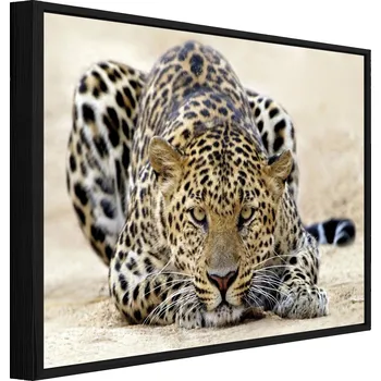 Obraz OBRAZ V ČERNÉM RÁMU NA PLÁTNĚ LAMPARD ZVÍŘATA OBÝVACÍ POKOJ LOŽNICE 60x40