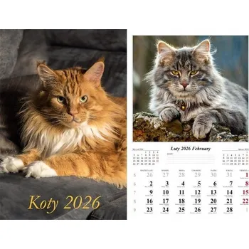 Kalendář Nástěnný kalendář 2026, 7 listů - Kočky