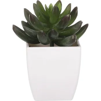 umělá květina Umělý sukulent v bílém plastovém obalu, zelený, bezúdržbový dekorativní prvek Barva: Zelená