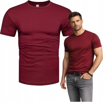 Pánské tričko Pánské tričko 100% bavlna prémiové bordó 190g XL