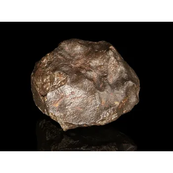 Sběratelství Meteorit | Chondrit | NWA 869 | 308,46 g