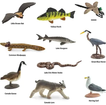 Dětské zboží Safari Ltd. Tuba - Velká jezera