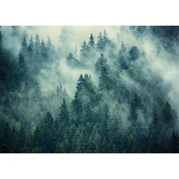 Fototapeta FOTOTAPETA LES V MLZE ZELENÁ DO LOŽNICE OBÝVACÍHO POKOJE TAPETA NA ZEĎ 300x210