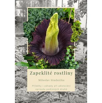 Kniha Zapeklité rostliny