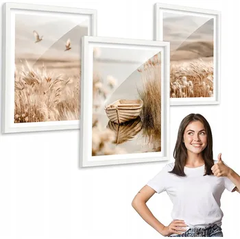 Obraz Sada 3 obrazů vzor BOHO LOĎKA JEZERO + bílý rámeček 30x40 triptych