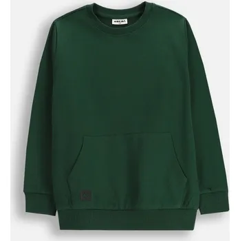 Pánská mikina Mikina Chlapecká Tepláková Bez Kapuce Hladká Zelená 092 Mokida WM6