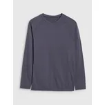 PÁNSKÉ TERMOAKTIVNÍ PRÁDLO 4F BEZEŠVÝ VRCHNÍ DÍL USEAM187 S/M SS25