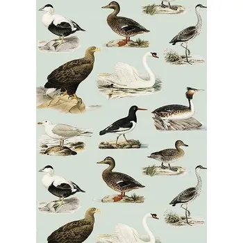 Obraz Přání ST408 B6 + obálka Ptáci / Skona Ting