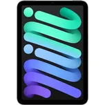 iPad mini Wi-Fi + Cellular 512GB - vesmírně šedý (2024)