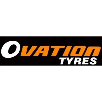 Zimní osobní pneu Zimní pneumatika Ovation W-586 205/40 R17 84 H s přilnavostí na sněhu (3PMSF), zesílená (XL)