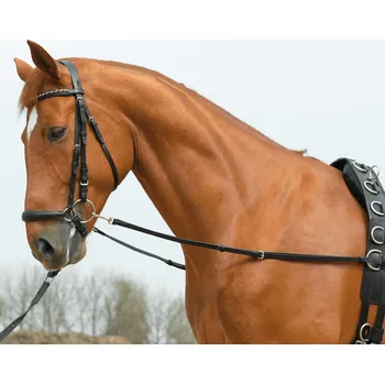 Jezdectví BUSSE Otěže vyvazovací Basic-Starr BUSSE, černé SHETTY/PONY