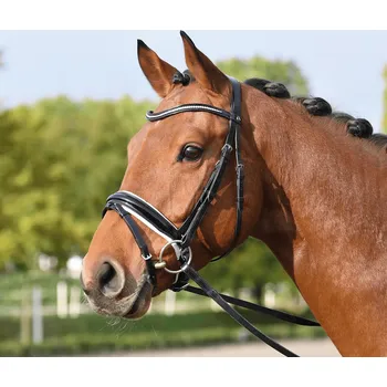 Stájové vybavení BUSSE Uzdečka Massa BUSSE, black/white/gloss crystal COB