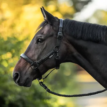 Jezdectví BUSSE Ohlávka Marilia BUSSE, černá COB