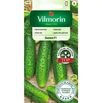 Semeno Okurka polní Zuzana F1 (nakládačka, hruboostná, partenokarpická, odolná plísni)