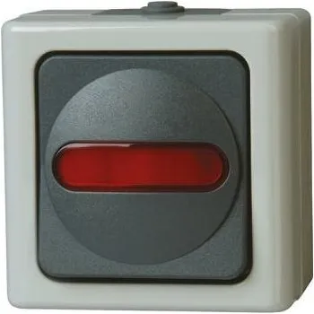 vypínač Modulární spínač, Ovládací prvek, barva ovladače: Červená, barva skříně: Šedá, 250V ac, 10A, Mosaz, IP44, Povrchová