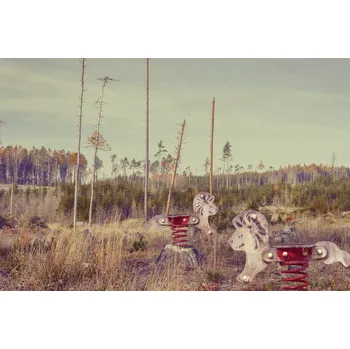 Obraz Eva Bystrianská | Zde jsou lvi Rám: Bez rámu, Velikost: 20 x 30 cm