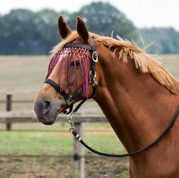 Vybavení pro koně BUSSE Třásně proti hmyzu Exklusiv BUSSE, burgundy PONY