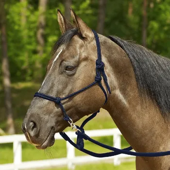 Jezdectví BUSSE Ohlávka Ringe BUSSE, navy PONY/COB