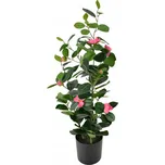 Mondex Viridis 71 cm růžová/zelená