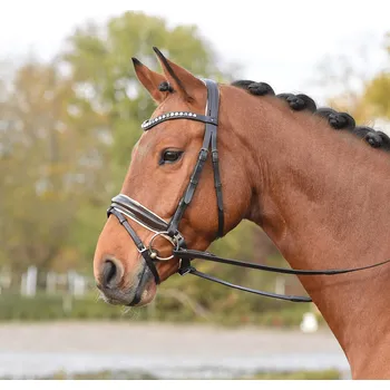 Stájové vybavení BUSSE Uzdečka Luxury BUSSE, brown cream/crystal pearl FULL