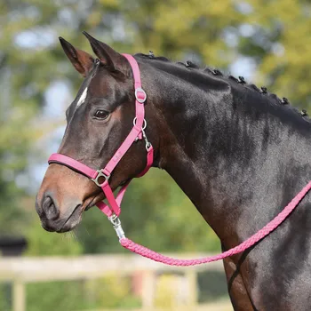 Jezdectví BUSSE Ohlávka Supreme BUSSE, pink COB