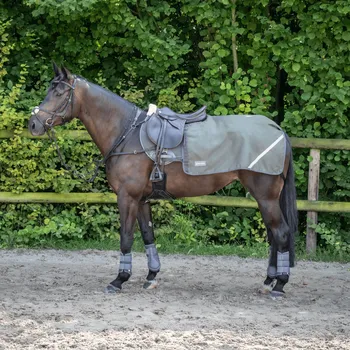 Jezdectví BUSSE Deka bederní Rain FX BUSSE, 0 g, deep olive Délka zad: 155 cm
