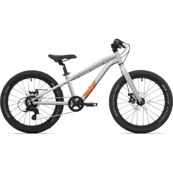 Dětské kolo ROCK MACHINE Riff TR 20 Gloss Limerock Grey