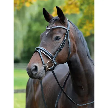 Stájové vybavení BUSSE Uzdečka Monza BUSSE, black/white/crystal silver COB