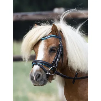 Stájové vybavení BUSSE Uzdečka Little BUSSE, black/atoll MINI SHETTY