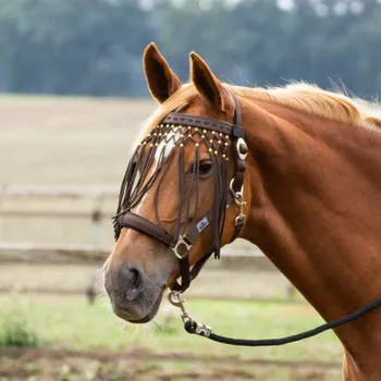 Jezdectví BUSSE Třásně proti hmyzu Exklusiv BUSSE, hnědé PONY